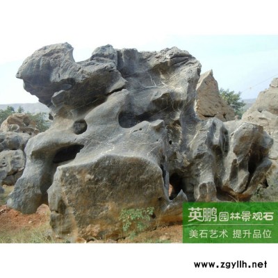 源头**别墅假山水景园林石 欣赏收藏价值园林大型太湖石