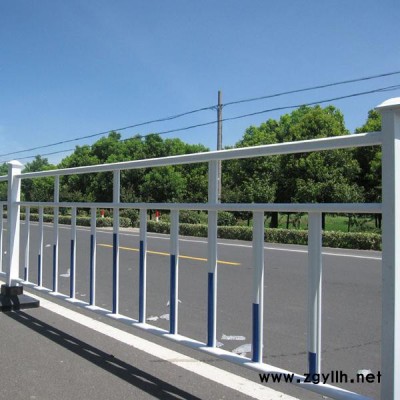 城市花坛市政中央隔离栏  市政护栏  道路隔离护栏 人行道隔离栏杆