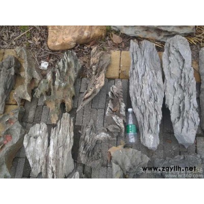 供应国诚石业3688英石-英德石-假山-盆景—附树石