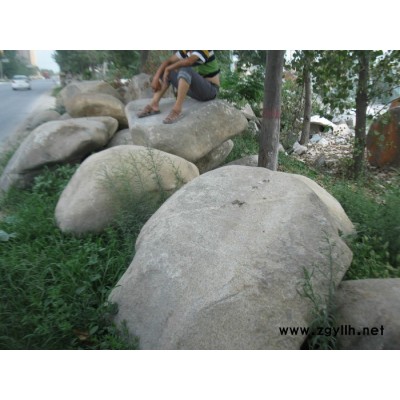 河道石 散石 假山石驳岸批发  显出水面构成俊秀山水的意境