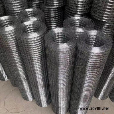 热镀锌电焊网 工地粉墙网 假山防裂网 抹灰抹墙网 河北普发厂家 现货供应