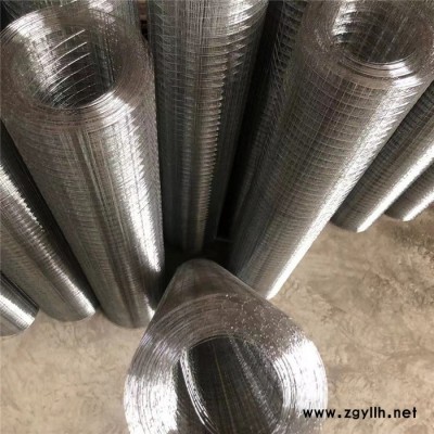 热镀锌电焊网 墙面抹灰挂网 粉墙网 假山电焊网 实地厂家量大优惠