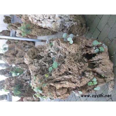 出售石头假山石 观赏石 自然石石头 点缀人们生活享受惬意人生