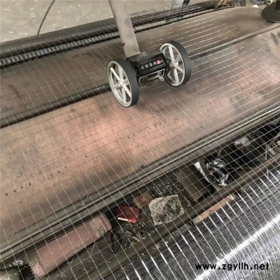 热镀锌电焊网 建筑电焊网 抹墙电焊网 假山防裂网 货源厂家供应