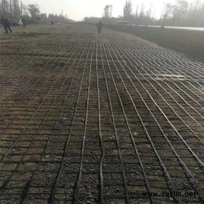 拓林 长春钢塑土工格栅厂家 公园假山固定钢塑格栅 土工钢格栅有哪些规格