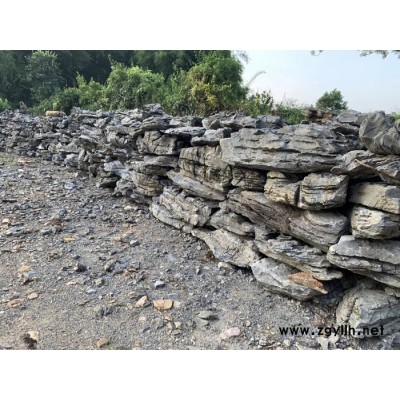 全国批发景观石 英石 园林假山 英德叠石 青龙自然原石 自产自销