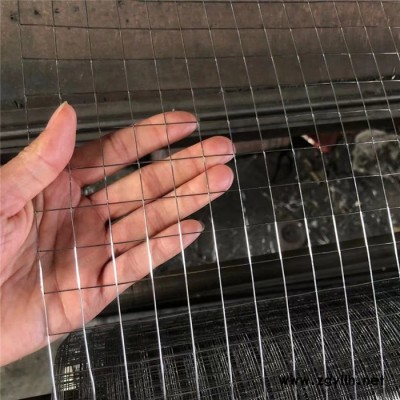 热镀锌电焊网 假山电焊网 养殖围栏网 批墙网 厂家现货批发