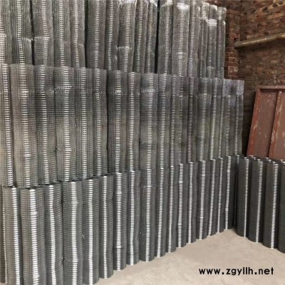 镀锌电焊网 抹墙电焊网 假山电焊网 粉墙防裂网 实地厂家 现货批发