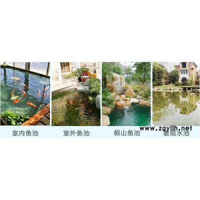 浏阳大型工程别墅鱼池，庭院鱼池，浏阳假山鱼池设计，浏阳鱼池过滤改造认准观宇水景