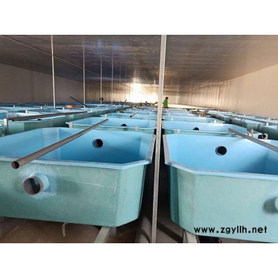 玻璃钢泥鳅孵化桶 **养殖池 庭院假山鱼池 锦鲤养殖水槽 定制