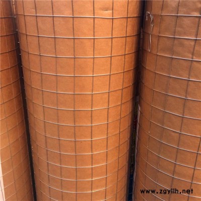 假山造型钢丝网  雕塑用钢丝网   粉墙钢丝网  镀锌方眼网 批墙网