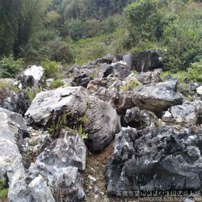 假山石 广东英德石 假山石市场 假山石价格 英石假山
