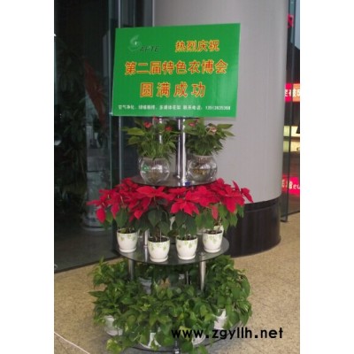 不锈钢玻璃花坛