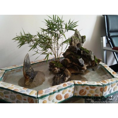 柳月儿假山鱼池制作