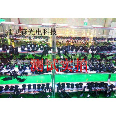 防水景观灯 动态满天星户外激光灯  圣诞满天星 草坪灯 工厂