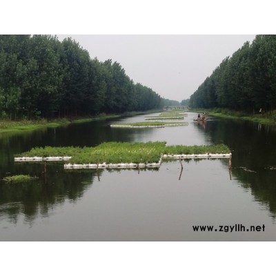 生态水景绿化 生态人工浮岛 浮床 生态浮床 水生植物 人工浮岛 净化水质红发水景