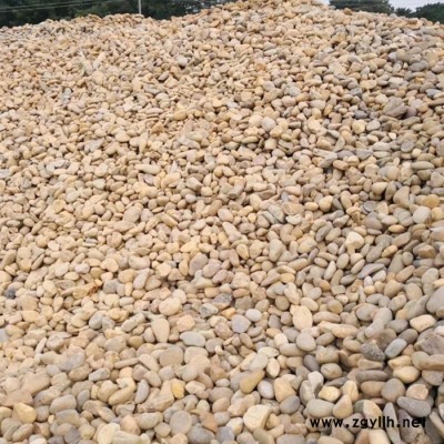 天然鹅卵石厂家河卵石园林铺路地面水冲石河卵石河滩石园林假山鱼池