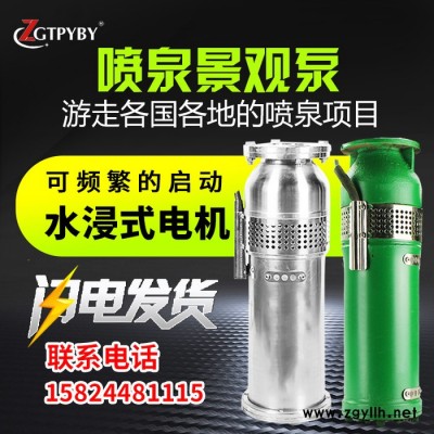 ZGTPYBYQSP25-12-1.5QS，QSP不锈钢潜水喷泉泵QS65-10-3充水景观喷泉专用潜水泵不锈钢