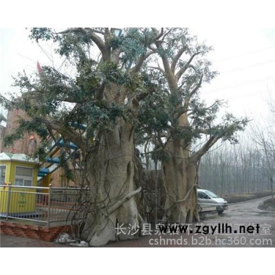 长沙假山假树|环美工作室|长沙grc假山假树价格