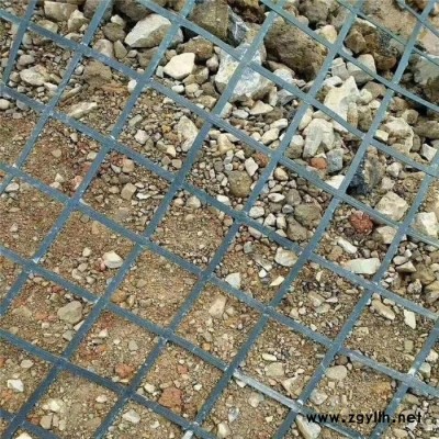 拓林 钢塑土工格栅 钢塑方格网 假山固定钢塑格栅 路基加固加钢丝方格网
