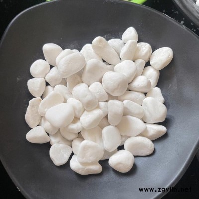 厂家供应鱼缸装饰花盆用 小白石头假山园景装饰用 白石子