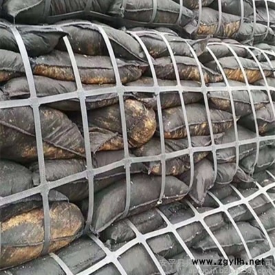 拓林 河北钢塑土工格栅 **钢塑土工格栅 公园假山固定钢塑土工格栅 耐腐蚀钢塑土工格栅