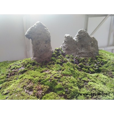 柳月儿假山渔池 假山鱼池