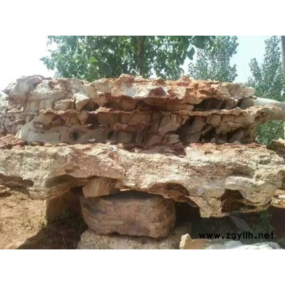 **天然假山石，园艺景观石，别墅园林石