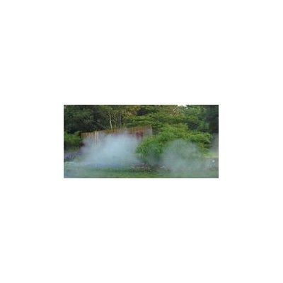 假山草坪 绿地水池 餐厅园林喷雾景观 别墅小区喷雾 园林喷雾