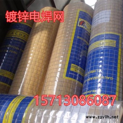 厂家现货供应甘肃假山用网 镀锌网 假山用软镀锌网 电焊网