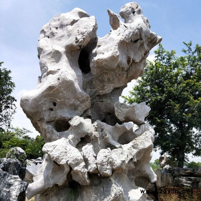 天然太湖石 假山园林庭院户外大型太湖石 花园别墅景观石