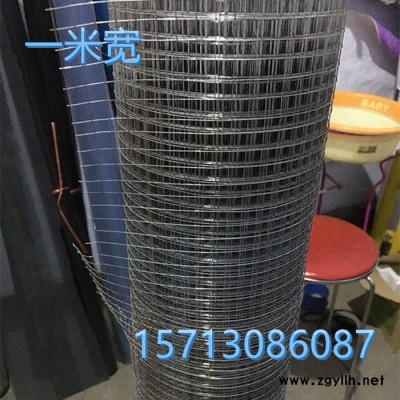 引润丝网厂现货各种规格镀锌钢丝网 墙面钢丝网 墙面挂网 假山用网