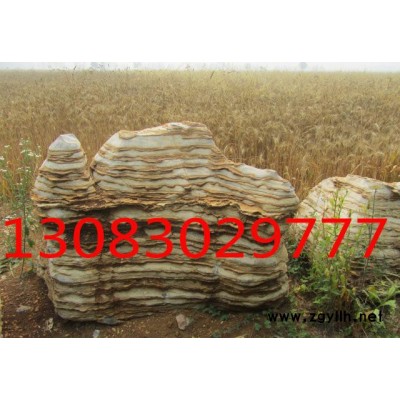 假山石之龟纹石及莲花石和其他