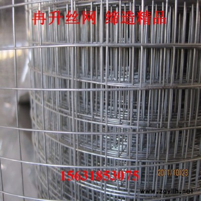 冉升供应假山铁丝网 金属铁丝网 热镀锌假山铁丝网 塑石假山专用铁丝护栏网 浸塑铁丝网价格