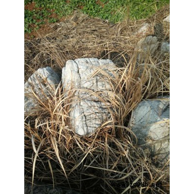 【鼎元园林石业】龟纹石 批发价格** 景观石 园林石假山 包施工