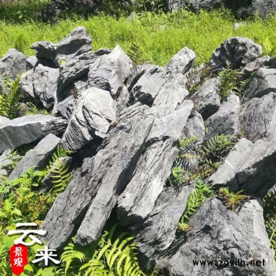 假山石头_园林步町石 庭院造景石园林点缀  黄蜡石，英石