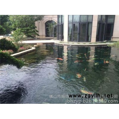 海南水池设计、金碧林、室内假山水池设计