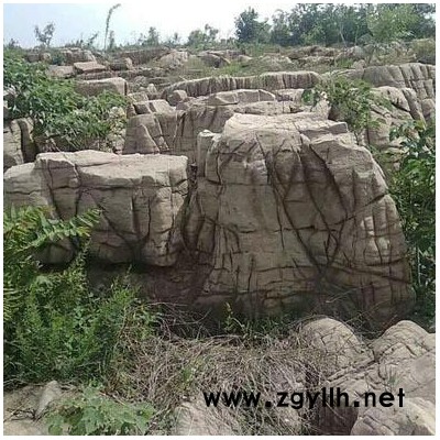 【圆满石业**龟纹石批发 龟纹石产地 龟纹石假山 龟纹石开采