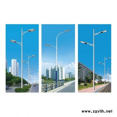 道路灯批发 爱普生产销售多款型城市道路灯 款式新颖造型简洁节能环保使用寿命长 小区道路灯 LED路灯 道路灯价格