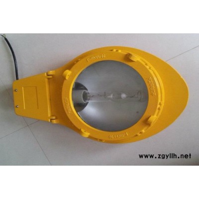 ZAD935JY-250(400)/220防爆道路灯质量优良，ZAD935JY-250(400)/220防爆道路灯**