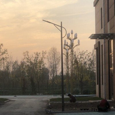 极之光3米-12米道路路灯 户外照明道路灯厂家报价