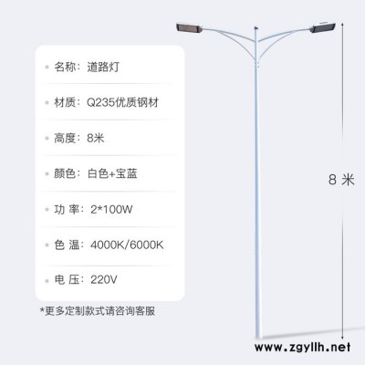 厂家定制市政路灯8米10米平行双臂LED道路灯
