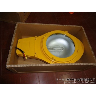 ZAD935JY-250(400)/220防爆道路灯   防爆道路灯规格