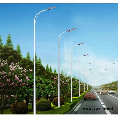 胜隆伟业道路灯供应
