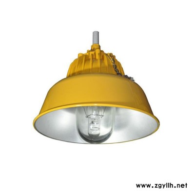 供应BLC8600厂用道路灯、防爆道路灯