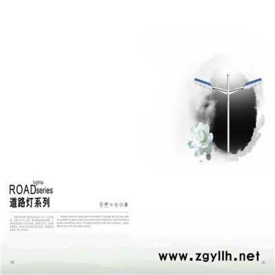 弘旭各种道路灯6米灯杆  30WLED灯具 各种道路灯