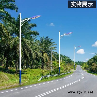 普米瑞YHSD-0001大功率道路灯6米海螺臂市电路灯工程专用 路灯厂家