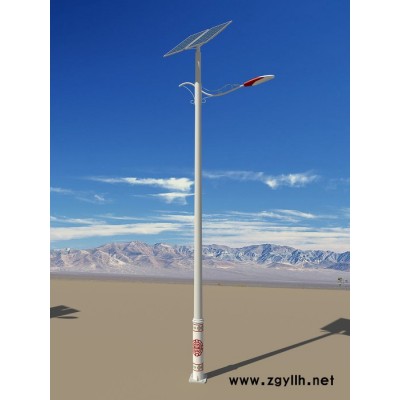 胜隆伟业太阳能景观灯供应