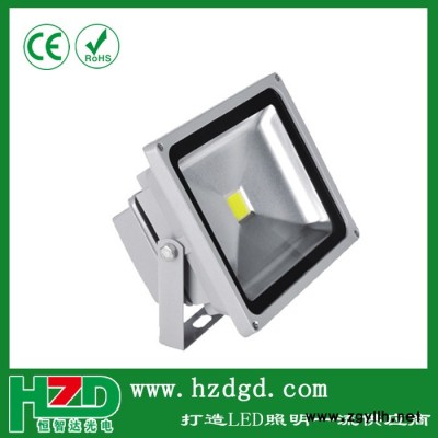 杭州LED10W-50w投射灯探照灯草坪灯埋地灯室外广告灯