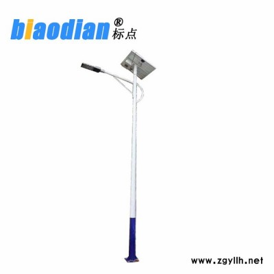 标点照明 太阳能路灯 LED路灯 新农村道路灯**